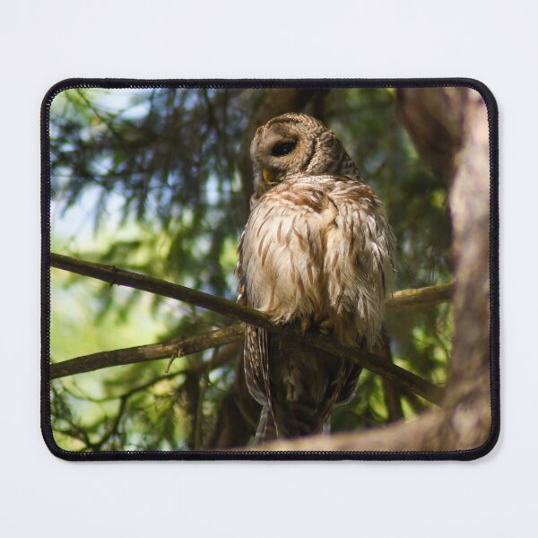 Item preview, I Spy designed and sold by Kerri Ann McClellan.