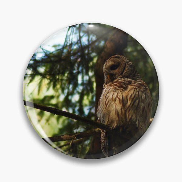 Item preview, In the Shadows of the Pines designed and sold by Kerri Ann McClellan.