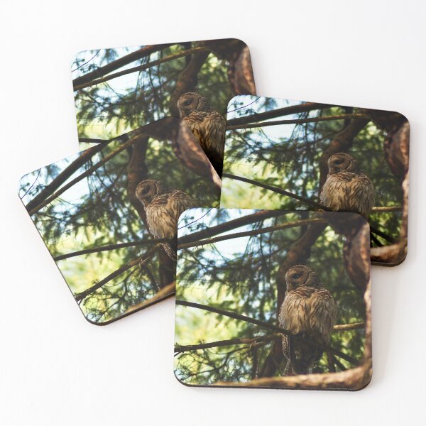 Item preview, In the Shadows of the Pines designed and sold by Kerri Ann McClellan.