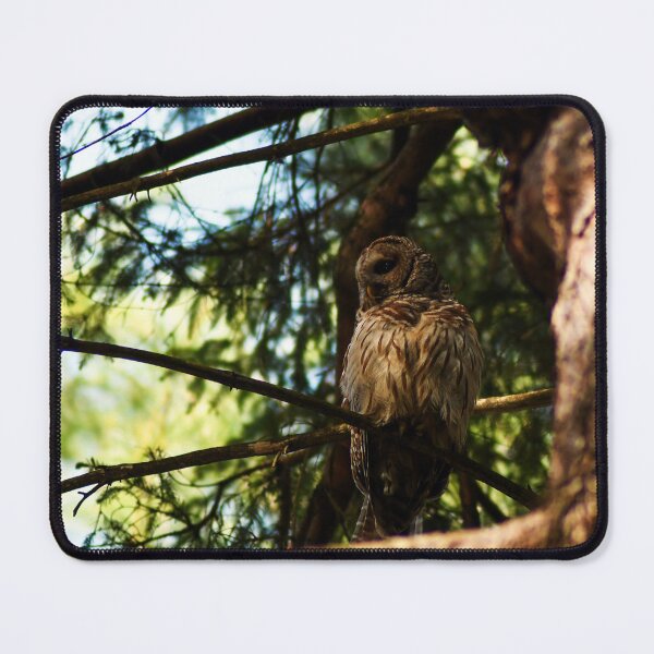 Item preview, In the Shadows of the Pines designed and sold by Kerri Ann McClellan.