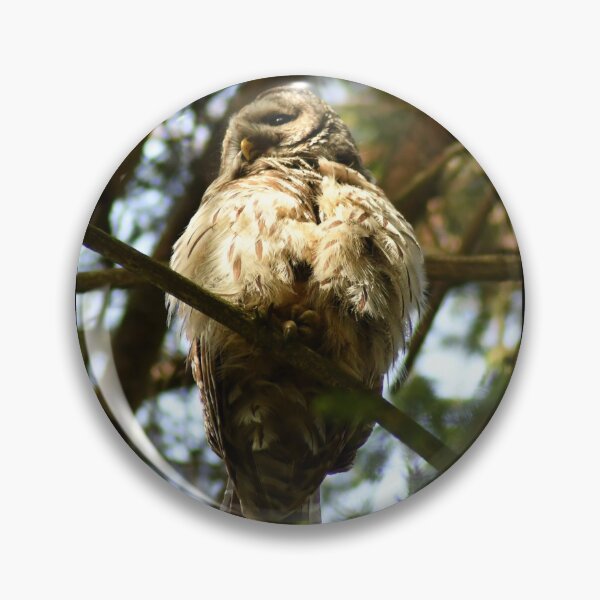 Item preview, Ruffled Feathers designed and sold by Kerri Ann McClellan.