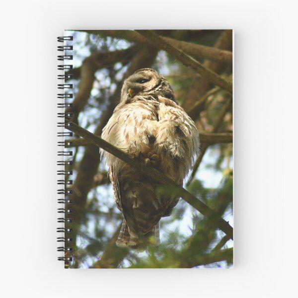 Item preview, Ruffled Feathers designed and sold by Kerri Ann McClellan.