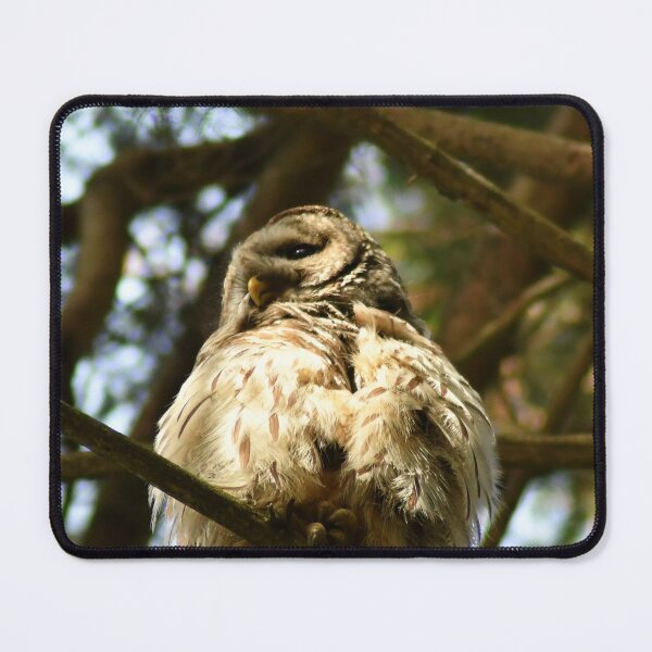 Item preview, Ruffled Feathers designed and sold by Kerri Ann McClellan.