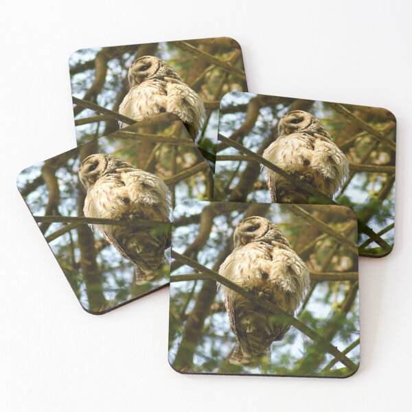 Item preview, Golden Boy designed and sold by Kerri Ann McClellan.