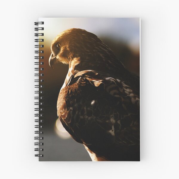 Item preview, Golden Ray Hawk designed and sold by Kerri Ann McClellan.
