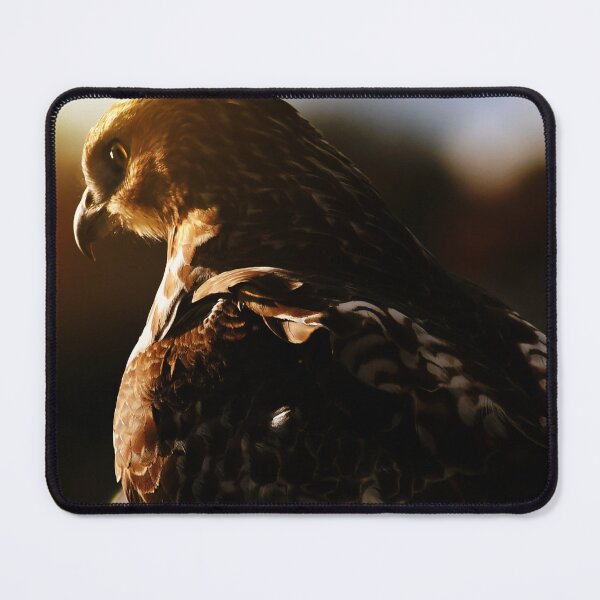 Item preview, Golden Ray Hawk designed and sold by Kerri Ann McClellan.