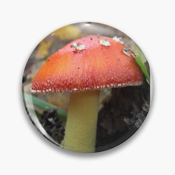 Item preview, Red Amanita Mushroom with Yellow Stipe designed and sold by WolfNoodles.