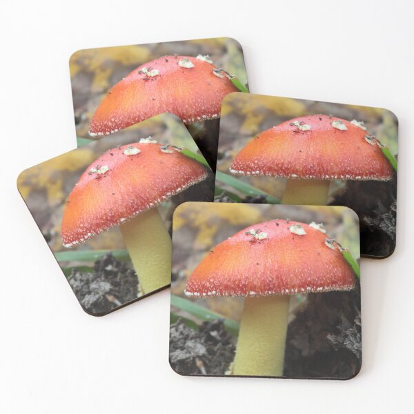Item preview, Red Amanita Mushroom with Yellow Stipe designed and sold by WolfNoodles.