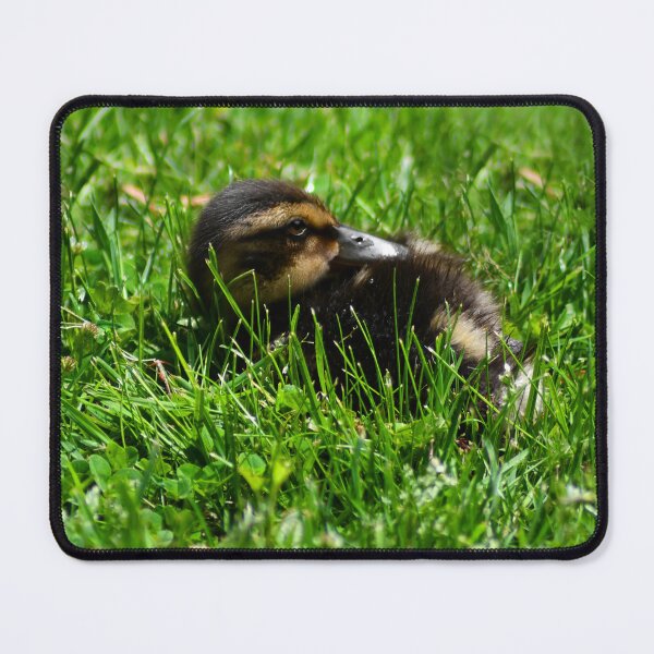 Item preview, Sleepy Duckling designed and sold by Kerri Ann McClellan.