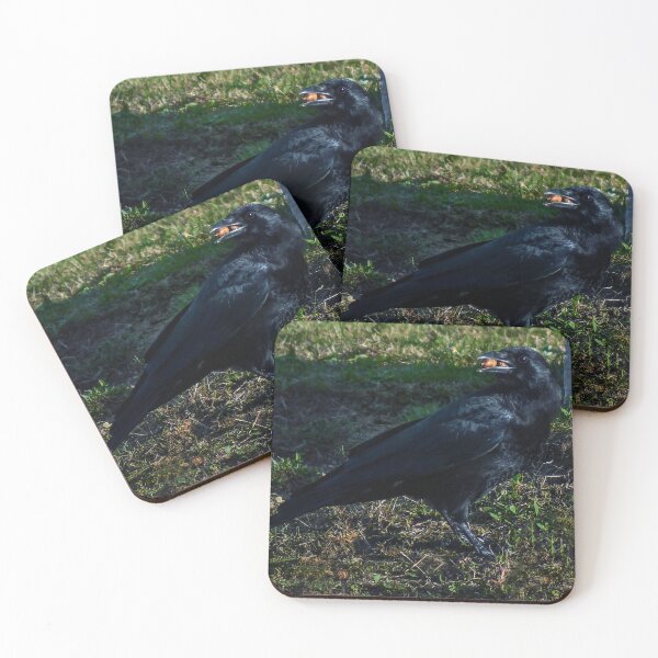 Item preview, Stealing Acorns designed and sold by Kerri Ann McClellan.