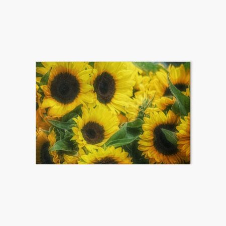 we're all golden sunflowers inside Art Board Print
