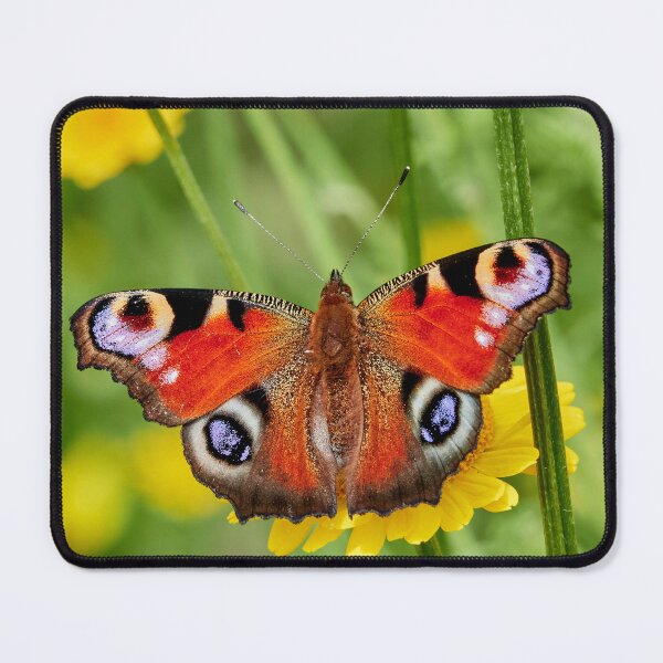 Item preview, Flower Obscured designed and sold by Eidetic Photos.