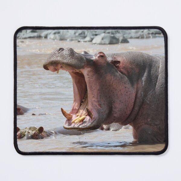 Item preview, This Hippo Owns the Pool designed and sold by KristalStittle.