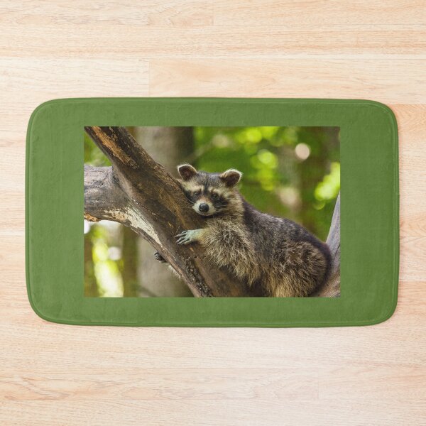 Item preview, Raccoon portrait - photography by elbvue designed and sold by elbvue.