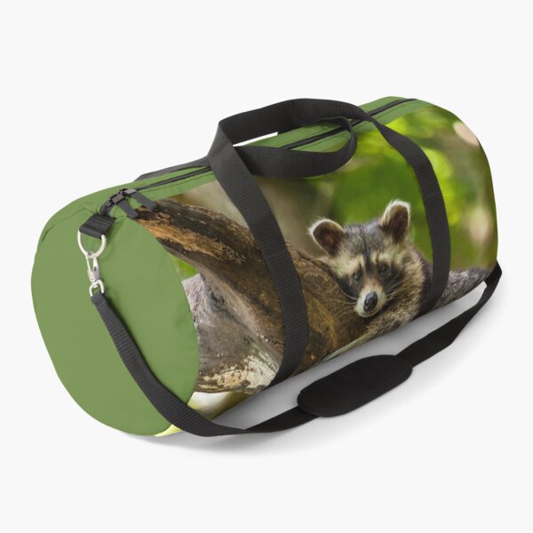 Item preview, Raccoon portrait - photography by elbvue designed and sold by elbvue.
