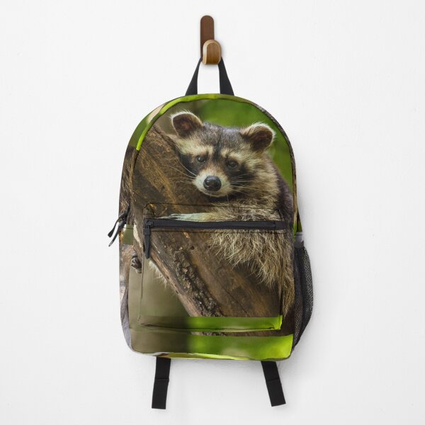 Item preview, Raccoon portrait - photography by elbvue designed and sold by elbvue.