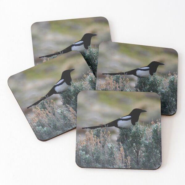 Item preview, Magpie Brush designed and sold by Kerri Ann McClellan.