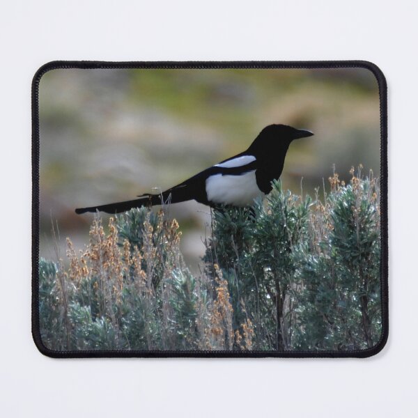 Item preview, Magpie Brush designed and sold by Kerri Ann McClellan.