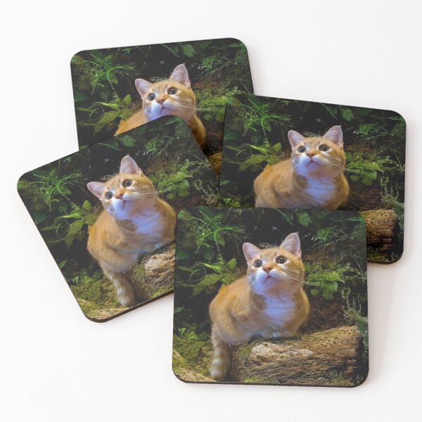 Item preview, Chasing Wonders: A Cat’s Curious Gaze designed and sold by MB-CatPrints.