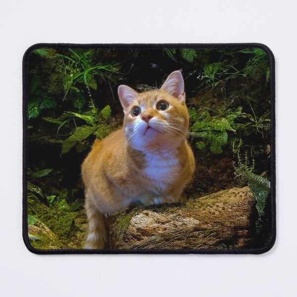 Item preview, Chasing Wonders: A Cat’s Curious Gaze designed and sold by MB-CatPrints.