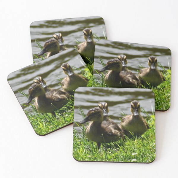 Item preview, Trio designed and sold by Kerri Ann McClellan.