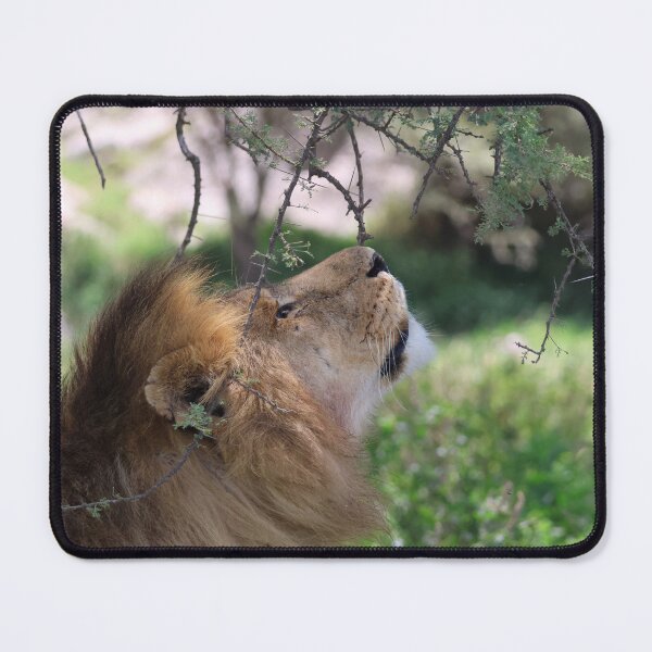 Item preview, To Be a Gentle King designed and sold by KristalStittle.
