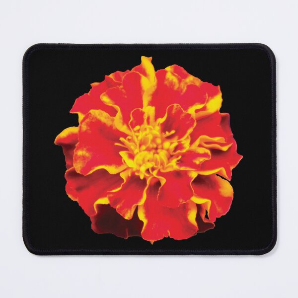 Item preview, Bright Red and Yellow Marigold Flower designed and sold by Maddy the Maker.