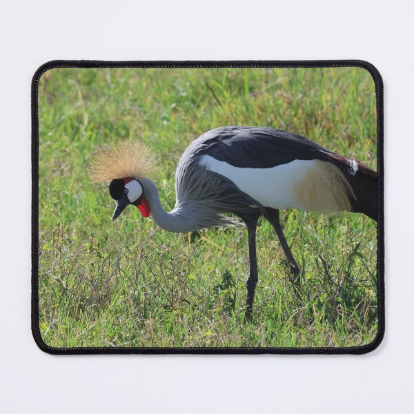 Item preview, Solo Grey Crowned Crane designed and sold by KristalStittle.