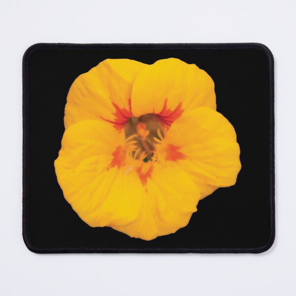 Item preview, Bright Yellow Nasturtium Flower designed and sold by Maddy the Maker.