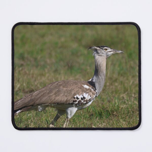 Item preview, A Walking Kori Bustard designed and sold by KristalStittle.