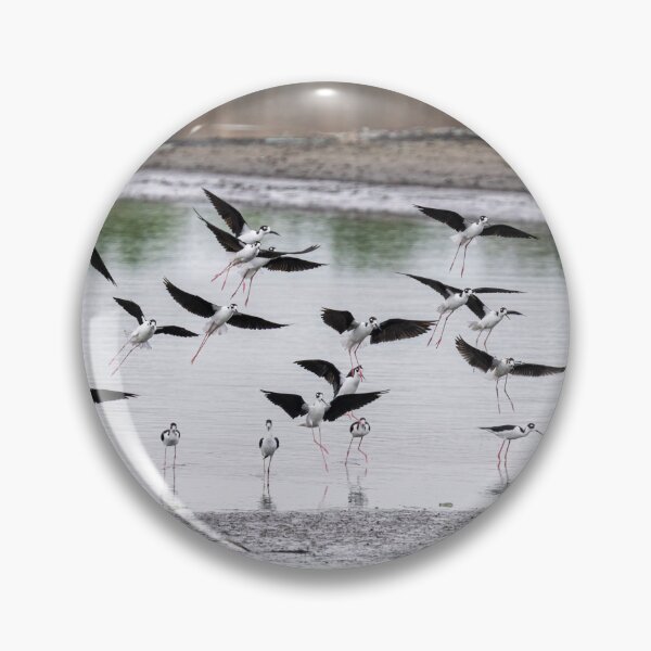 Item preview, Black-Necked Stilts Flock in Flight designed and sold by AlsknMommaBear2.