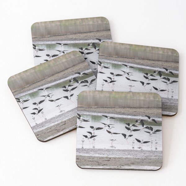 Item preview, Black-Necked Stilts Flock in Flight designed and sold by AlsknMommaBear2.