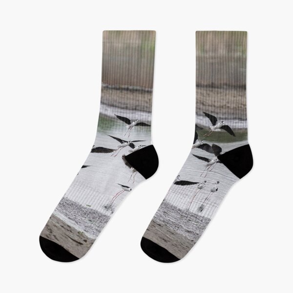 Item preview, Black-Necked Stilts Flock in Flight designed and sold by AlsknMommaBear2.