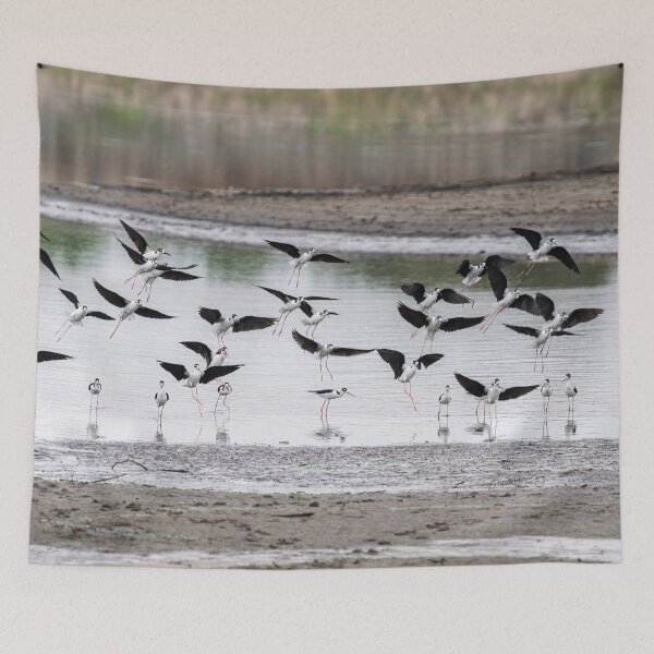 Item preview, Black-Necked Stilts Flock in Flight designed and sold by AlsknMommaBear2.