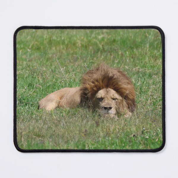 Item preview, A Fine Lion Hairdo designed and sold by KristalStittle.