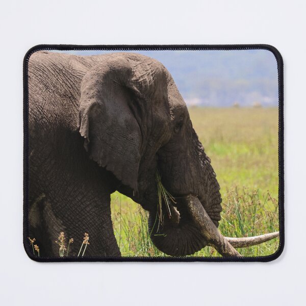 Item preview, Elephant Having a Meal designed and sold by KristalStittle.
