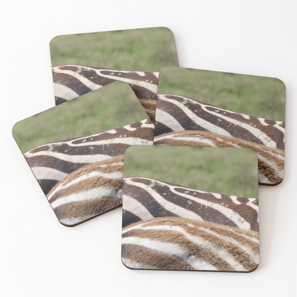 Item preview, The Difference in Zebra Ages designed and sold by KristalStittle.