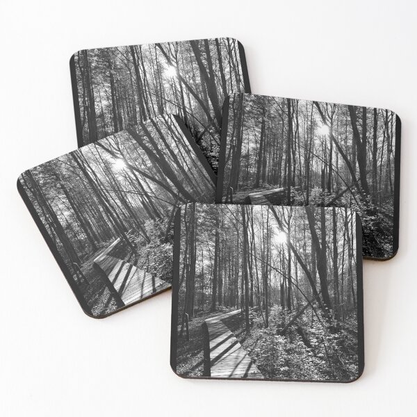 Item preview, Original Photography “Path to Serenity” - Black and White Forest Art  designed and sold by JamesDArting.