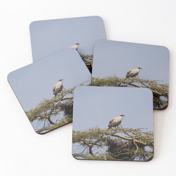 Item preview, White-Backed Vulture in a Tree designed and sold by KristalStittle.