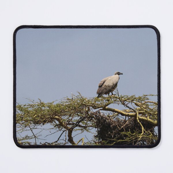Item preview, White-Backed Vulture in a Tree designed and sold by KristalStittle.