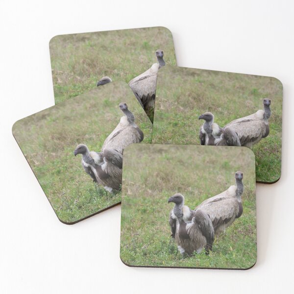 Item preview, A Pair of White-Backed Vultures designed and sold by KristalStittle.