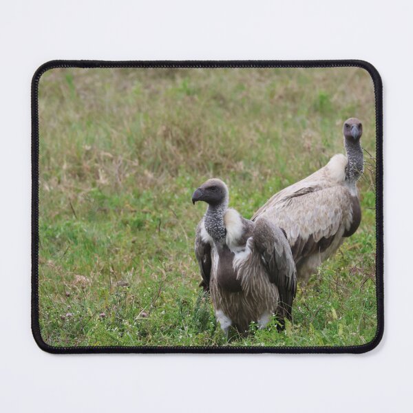 Item preview, A Pair of White-Backed Vultures designed and sold by KristalStittle.