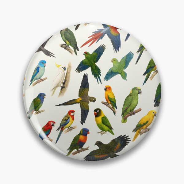 Item preview, Parrots of the World Illustration Chart designed and sold by kakarikihill.
