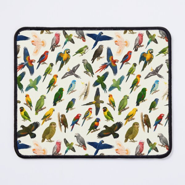 Item preview, Parrots of the World Illustration Chart designed and sold by kakarikihill.
