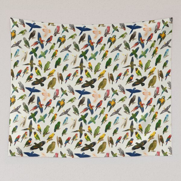 Item preview, Parrots of the World Illustration Chart designed and sold by kakarikihill.