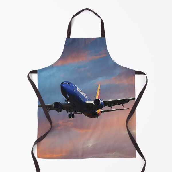 Item preview, SouthWest Airlines Boeing 737-8H4 designed and sold by Skyframe Aviation.