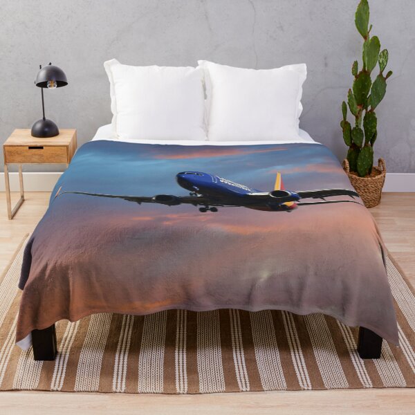Item preview, SouthWest Airlines Boeing 737-8H4 designed and sold by Skyframe Aviation.