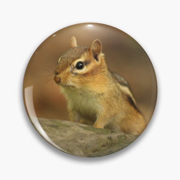 Item preview, Chipmunk designed and sold by AmazingAmanda42.