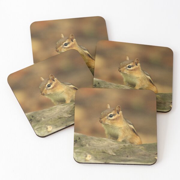 Item preview, Chipmunk designed and sold by AmazingAmanda42.