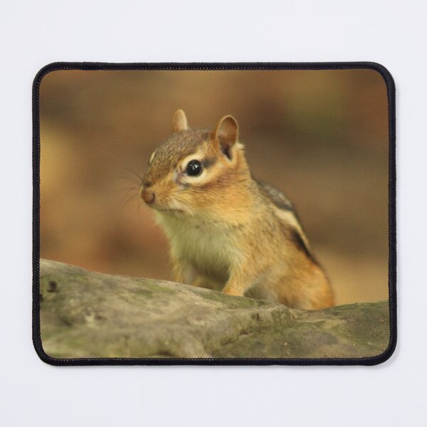 Item preview, Chipmunk designed and sold by AmazingAmanda42.
